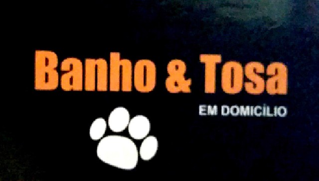 Banho e tosa a domicilio