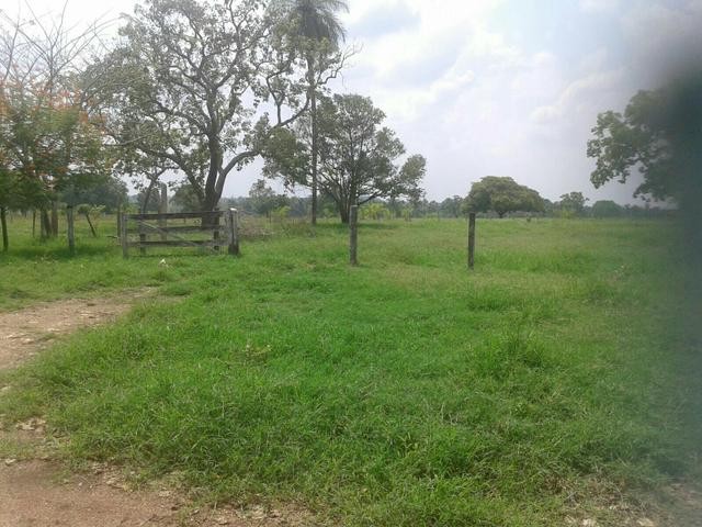 Foto 1 - Fazenda a venda em Araguaina TO -venda fazenda -